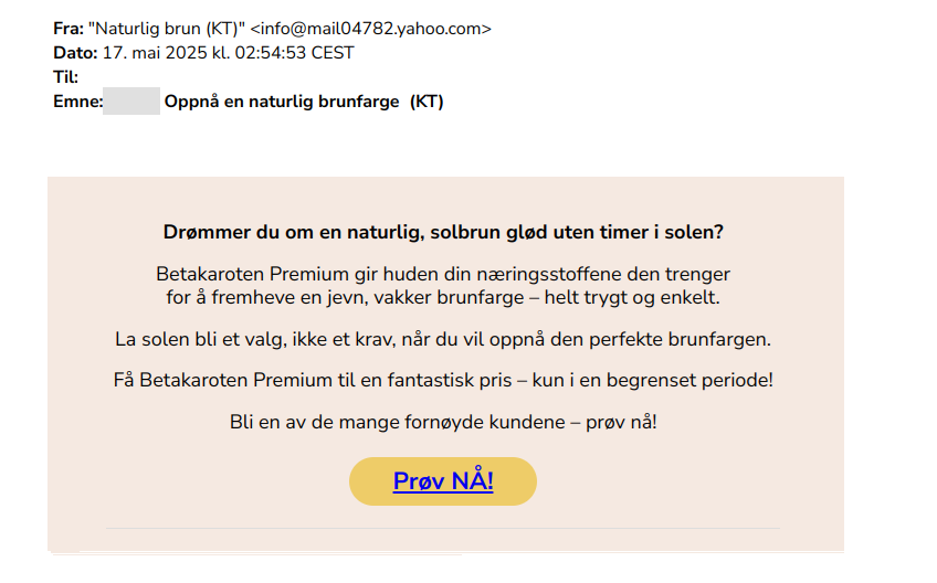 Bilde av svindelepost