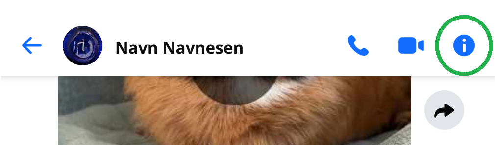 Skjermbilde fra Facebook-appen.